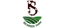 web design in Chennai, Website designing in Chennai, Website designing company in Chennai website development company, website design company, web development agency, website development agency, web designer chennai