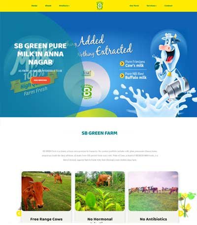 web design in Chennai, Website designing in Chennai, Website designing company in Chennai website development company, website design company, web development agency, website development agency, web designer chennai